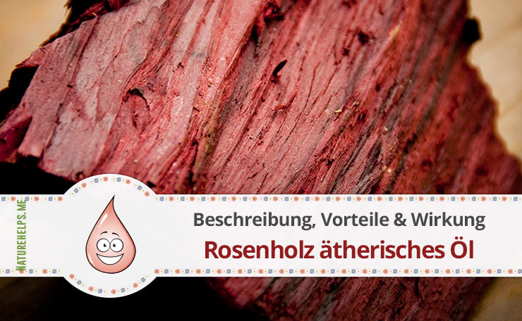 Rosenholz ätherisches Öl. Beschreibung, Vorteile & Wirkung