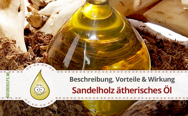 Sandelholz ätherisches Öl. Beschreibung, Vorteile & Wirkung