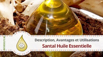 Santal Huile Essentielle. Description, Avantages et Utilisations